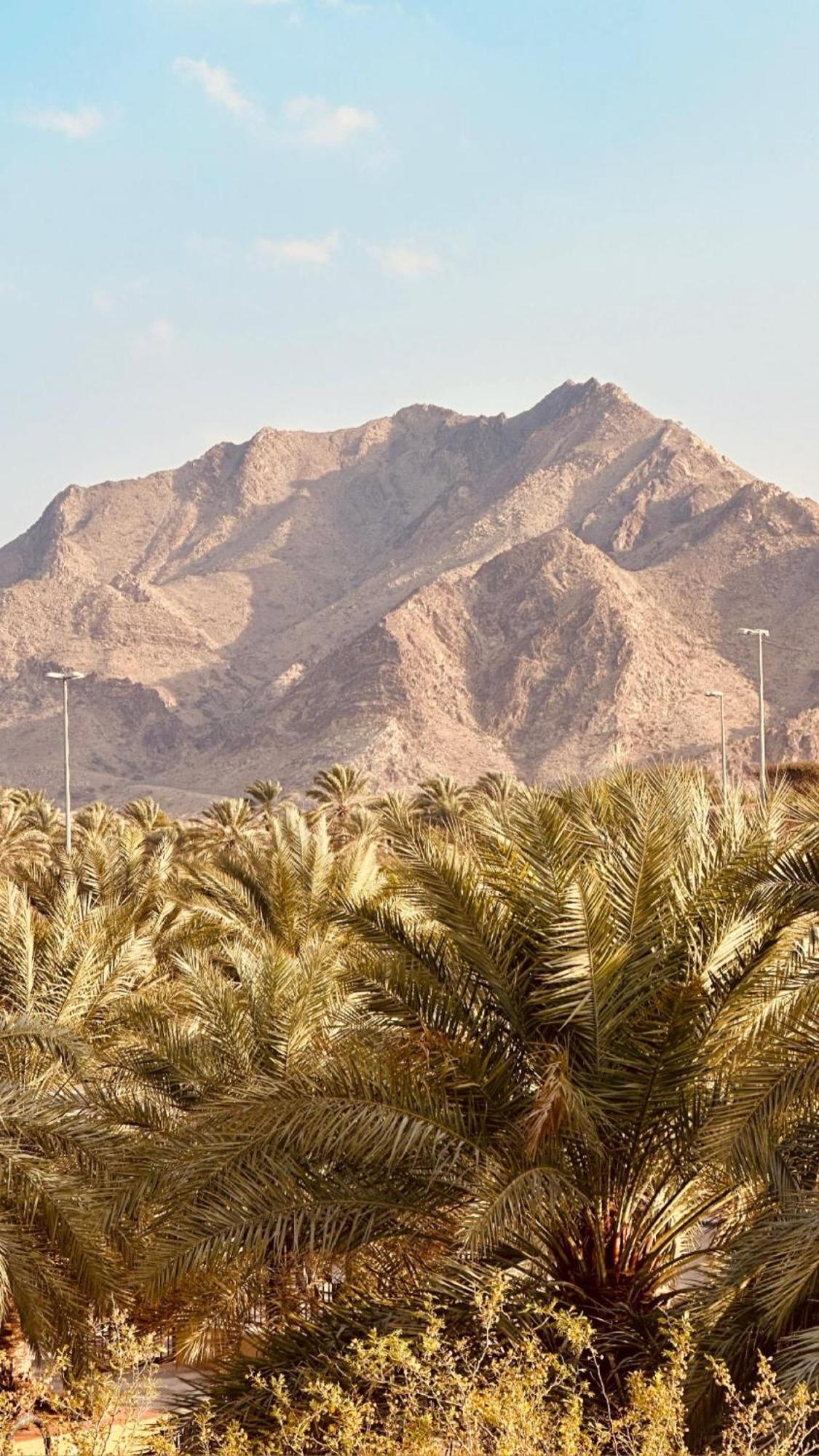 Hatta Retreat Private Pool Wadi Hub For Activities Exterior foto